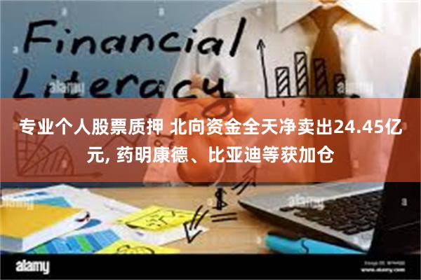 专业个人股票质押 北向资金全天净卖出24.45亿元, 药明康德、比亚迪等获加仓