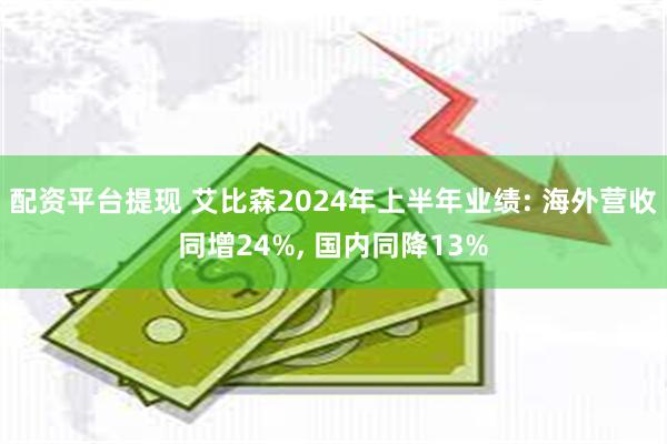 配资平台提现 艾比森2024年上半年业绩: 海外营收同增24%, 国内同降13%