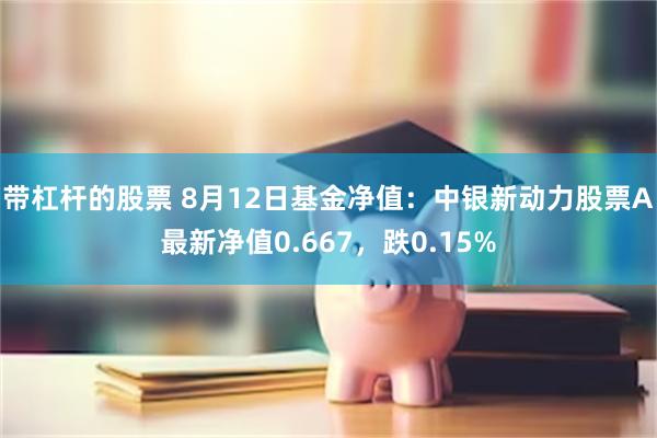 带杠杆的股票 8月12日基金净值：中银新动力股票A最新净值0.667，跌0.15%