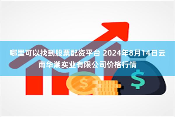 哪里可以找到股票配资平台 2024年8月14日云南华潮实业有限公司价格行情