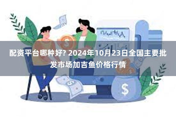 配资平台哪种好? 2024年10月23日全国主要批发市场加吉鱼价格行情