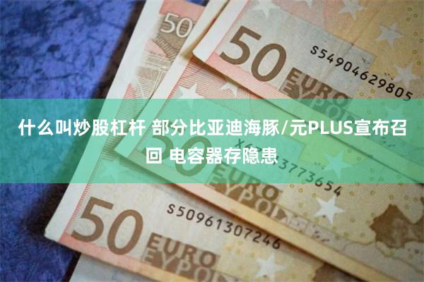 什么叫炒股杠杆 部分比亚迪海豚/元PLUS宣布召回 电容器存隐患