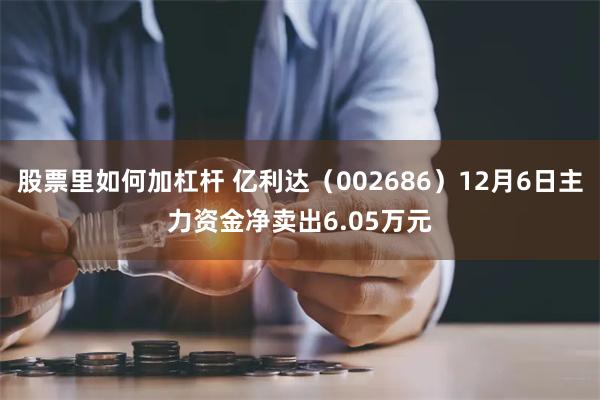 股票里如何加杠杆 亿利达（002686）12月6日主力资金净卖出6.05万元