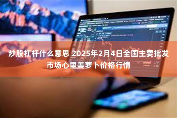 炒股杠杆什么意思 2025年2月4日全国主要批发市场心里美萝卜价格行情