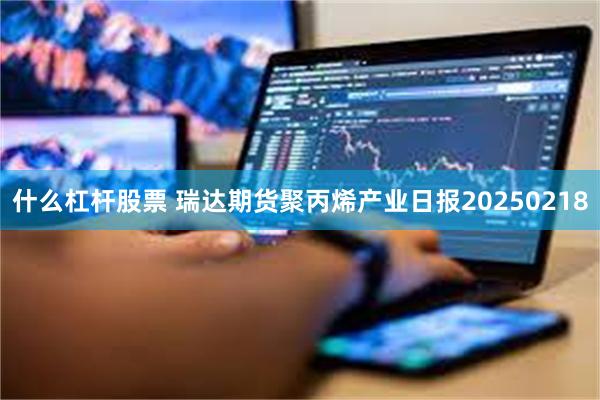 什么杠杆股票 瑞达期货聚丙烯产业日报20250218